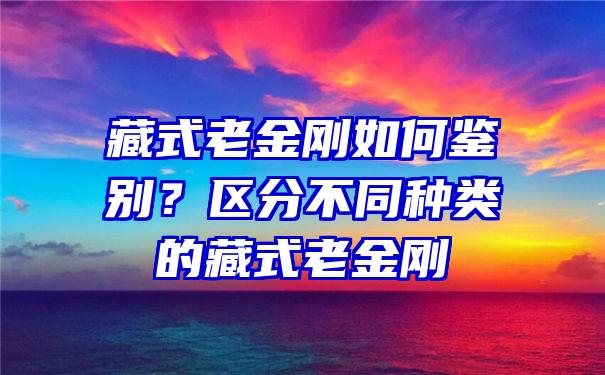 藏式老金刚如何鉴别？区分不同种类的藏式老金刚