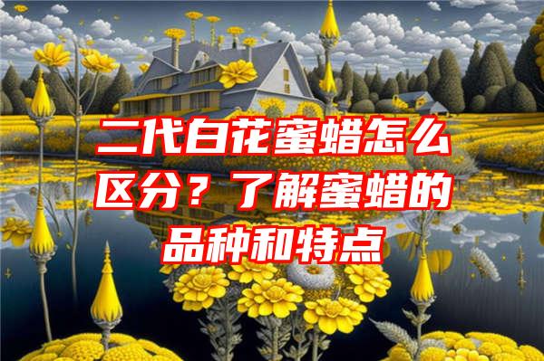 二代白花蜜蜡怎么区分？了解蜜蜡的品种和特点