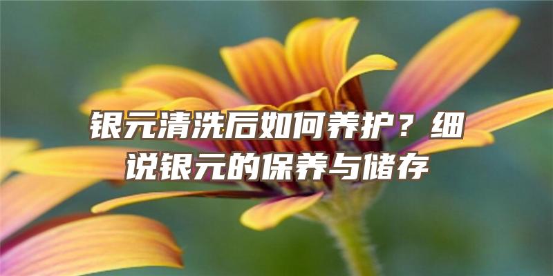 银元清洗后如何养护？细说银元的保养与储存