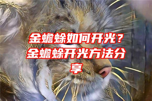 金蟾蜍如何开光？金蟾蜍开光方法分享