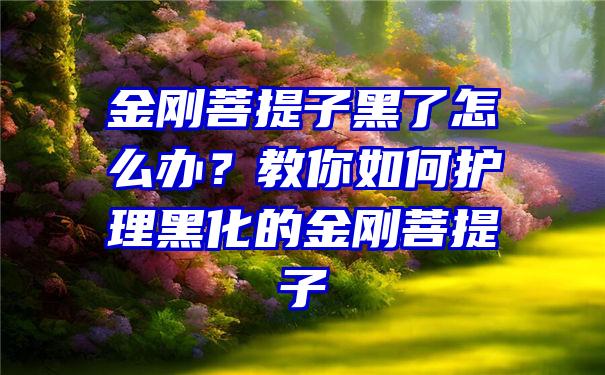 金刚菩提子黑了怎么办？教你如何护理黑化的金刚菩提子