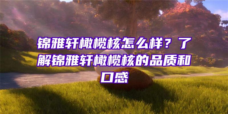 锦雅轩橄榄核怎么样？了解锦雅轩橄榄核的品质和口感