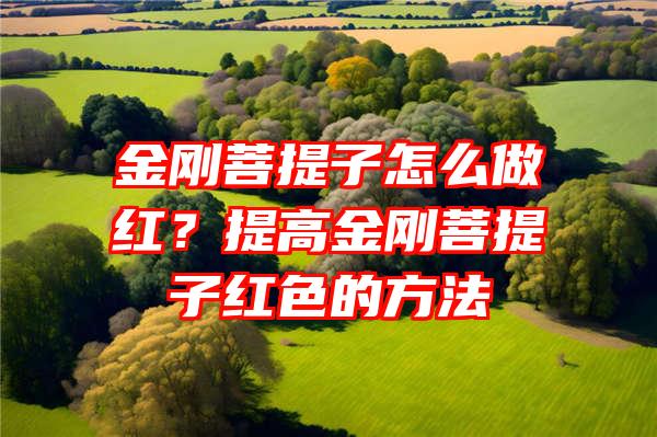 金刚菩提子怎么做红？提高金刚菩提子红色的方法