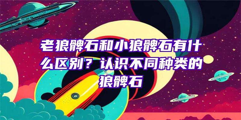 老狼髀石和小狼髀石有什么区别？认识不同种类的狼髀石