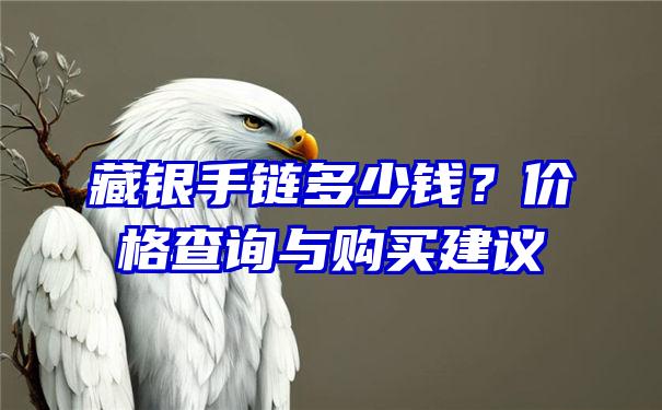 藏银手链多少钱？价格查询与购买建议