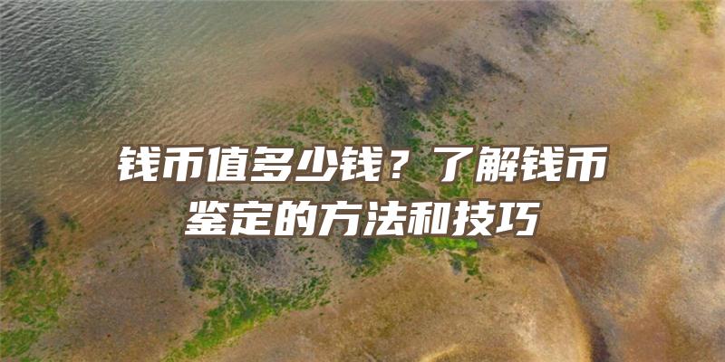 钱币值多少钱？了解钱币鉴定的方法和技巧