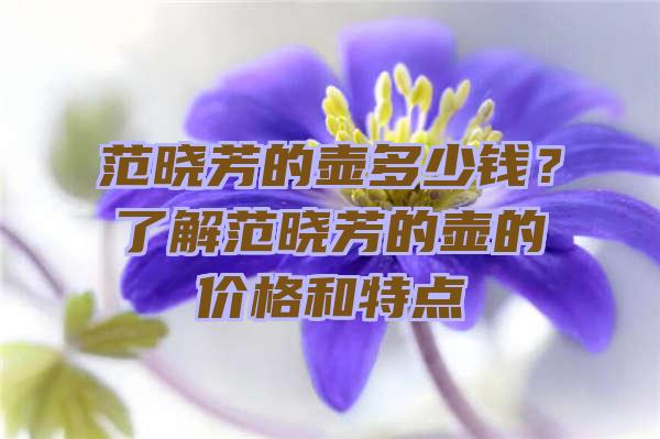 范晓芳的壶多少钱？了解范晓芳的壶的价格和特点