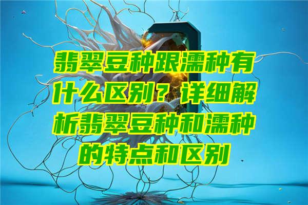 翡翠豆种跟濡种有什么区别？详细解析翡翠豆种和濡种的特点和区别