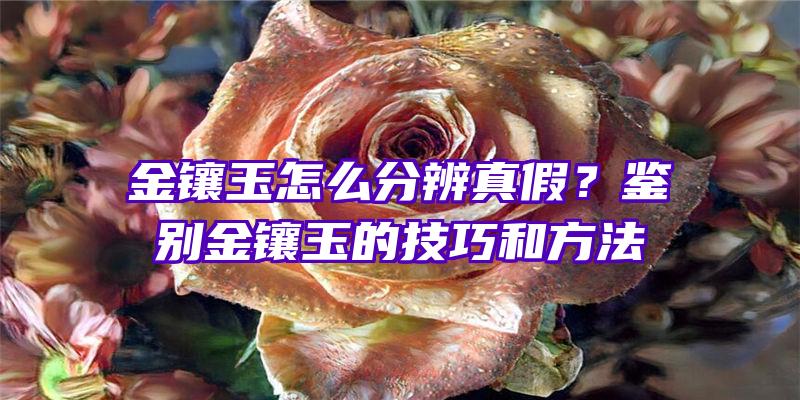 金镶玉怎么分辨真假？鉴别金镶玉的技巧和方法