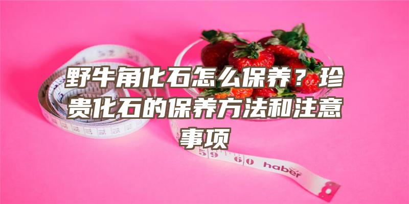 野牛角化石怎么保养？珍贵化石的保养方法和注意事项