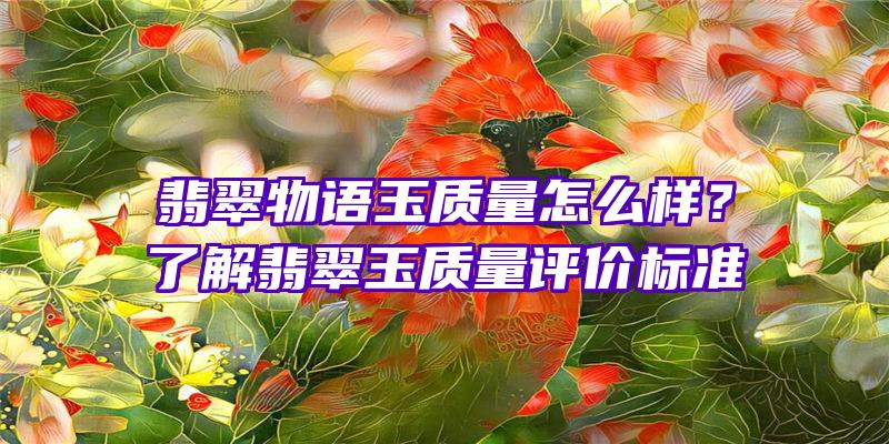 翡翠物语玉质量怎么样？了解翡翠玉质量评价标准