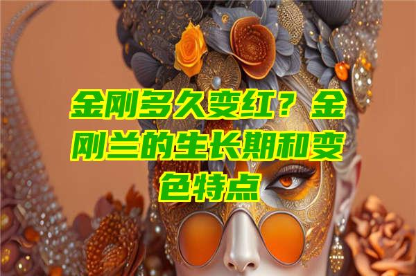 金刚多久变红？金刚兰的生长期和变色特点