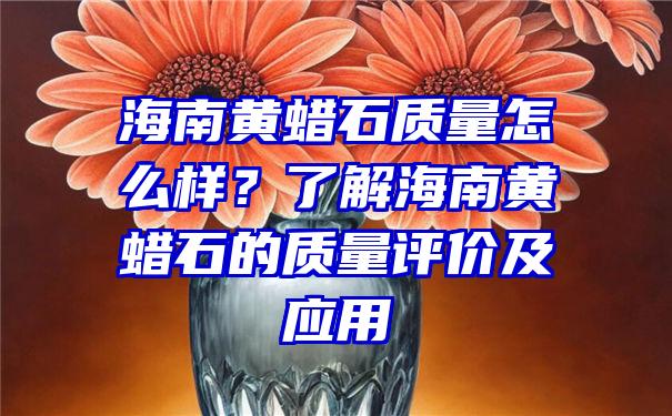 海南黄蜡石质量怎么样？了解海南黄蜡石的质量评价及应用