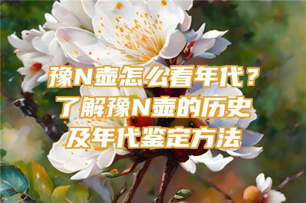 豫N壶怎么看年代？了解豫N壶的历史及年代鉴定方法