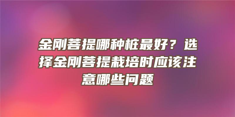 金刚菩提哪种桩最好？选择金刚菩提栽培时应该注意哪些问题