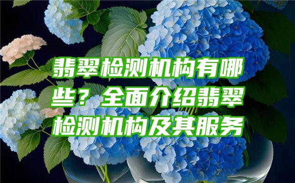 翡翠检测机构有哪些？全面介绍翡翠检测机构及其服务