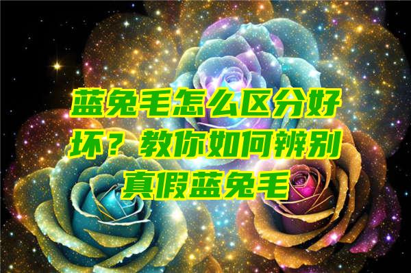 蓝兔毛怎么区分好坏？教你如何辨别真假蓝兔毛