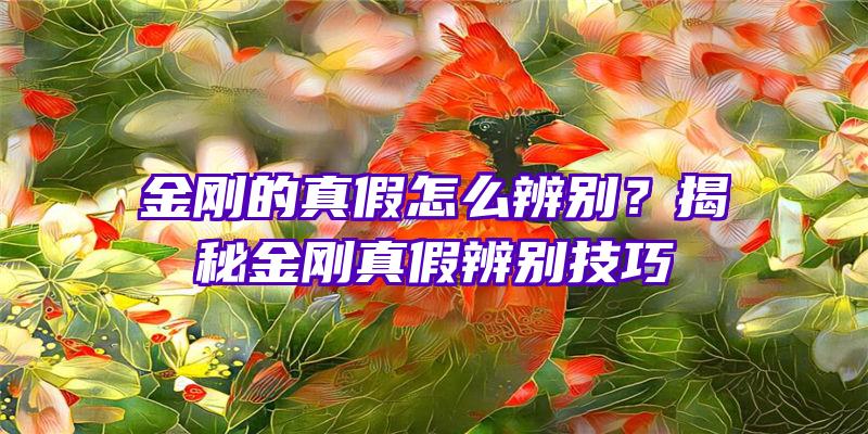 金刚的真假怎么辨别？揭秘金刚真假辨别技巧