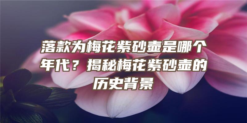 落款为梅花紫砂壶是哪个年代？揭秘梅花紫砂壶的历史背景