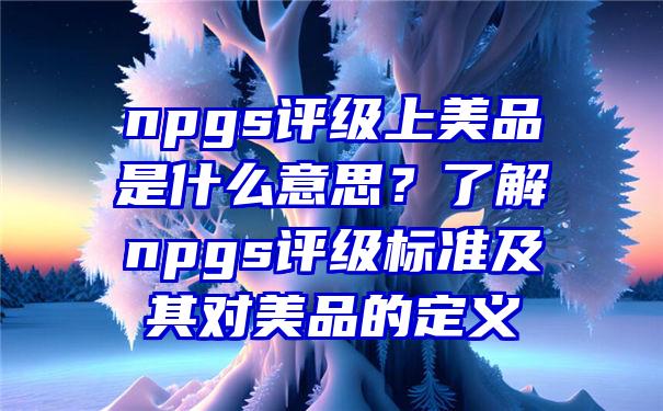 npgs评级上美品是什么意思？了解npgs评级标准及其对美品的定义