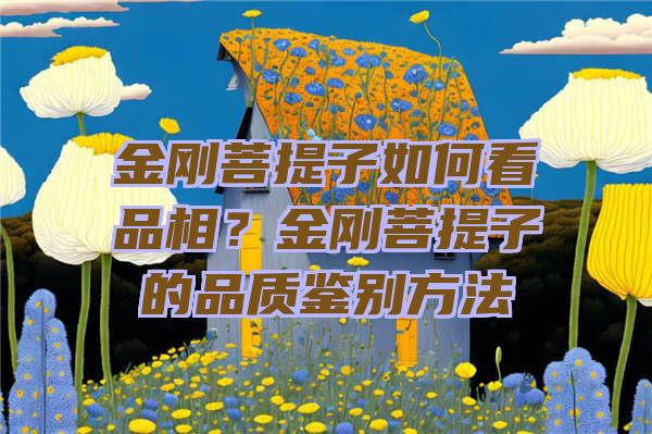 金刚菩提子如何看品相？金刚菩提子的品质鉴别方法