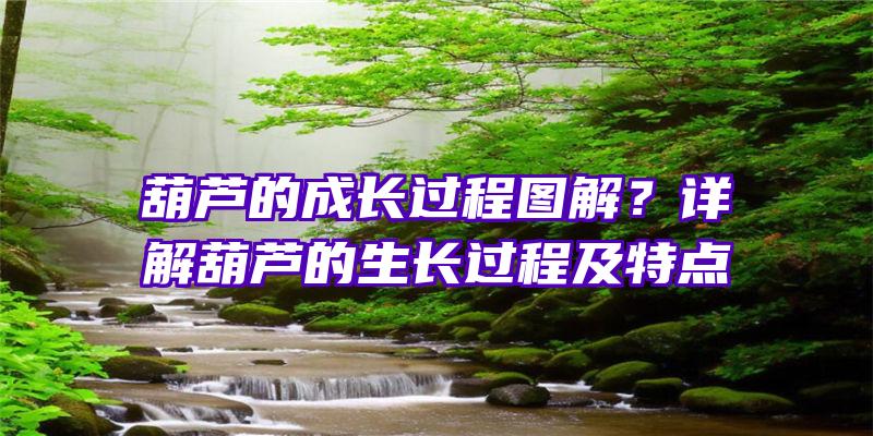 葫芦的成长过程图解？详解葫芦的生长过程及特点