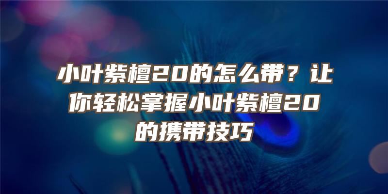 小叶紫檀20的怎么带？让你轻松掌握小叶紫檀20的携带技巧