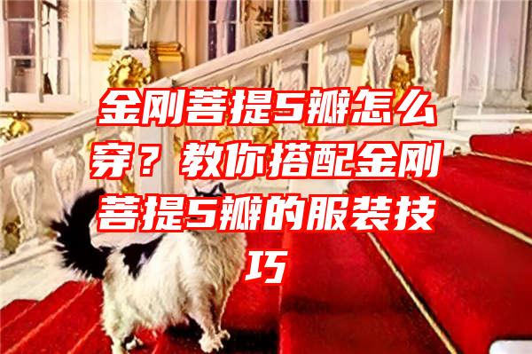 金刚菩提5瓣怎么穿？教你搭配金刚菩提5瓣的服装技巧