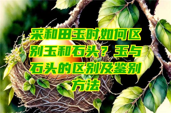 采和田玉时如何区别玉和石头？玉与石头的区别及鉴别方法