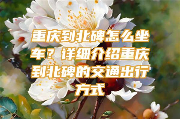 重庆到北碑怎么坐车？详细介绍重庆到北碑的交通出行方式