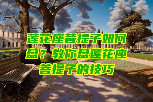 莲花座菩提子如何盘？教你盘莲花座菩提子的技巧