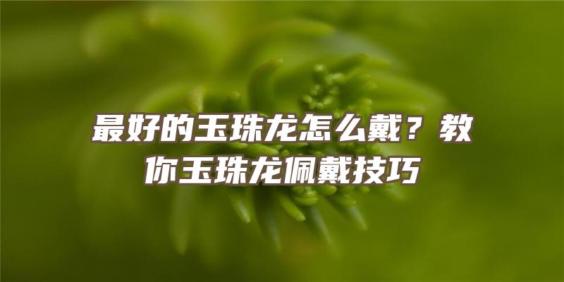 最好的玉珠龙怎么戴？教你玉珠龙佩戴技巧