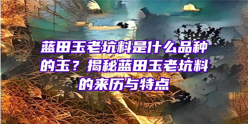 蓝田玉老坑料是什么品种的玉？揭秘蓝田玉老坑料的来历与特点