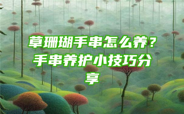 草珊瑚手串怎么养？手串养护小技巧分享