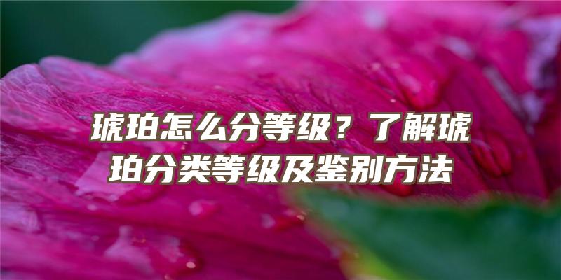 琥珀怎么分等级？了解琥珀分类等级及鉴别方法