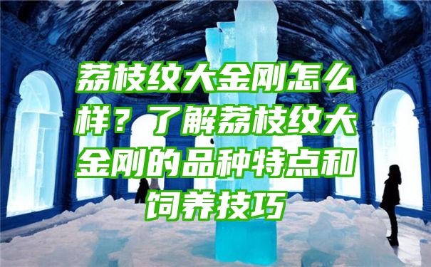 荔枝纹大金刚怎么样？了解荔枝纹大金刚的品种特点和饲养技巧