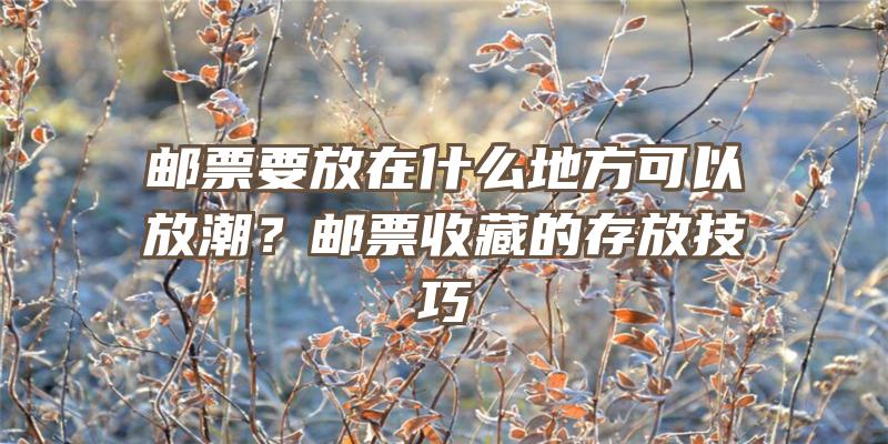 邮票要放在什么地方可以放潮？邮票收藏的存放技巧