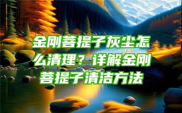 金刚菩提子灰尘怎么清理？详解金刚菩提子清洁方法