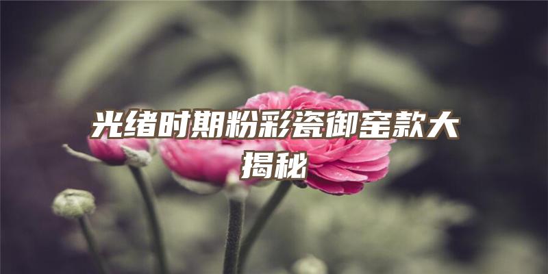 光绪时期粉彩瓷御窑款大揭秘