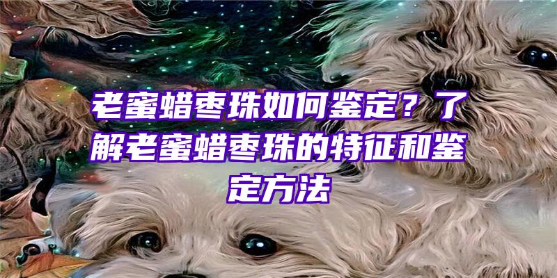 老蜜蜡枣珠如何鉴定？了解老蜜蜡枣珠的特征和鉴定方法