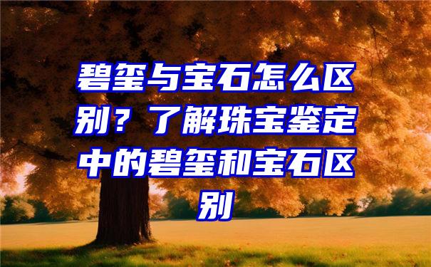 碧玺与宝石怎么区别？了解珠宝鉴定中的碧玺和宝石区别