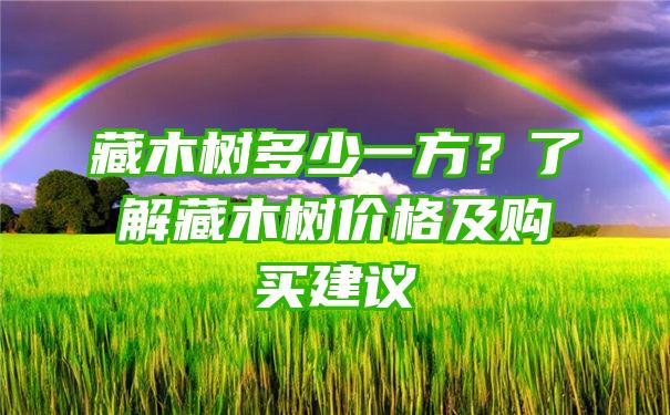 藏木树多少一方？了解藏木树价格及购买建议