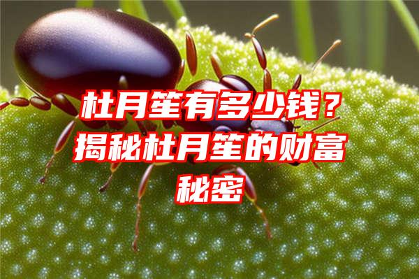 杜月笙有多少钱？揭秘杜月笙的财富秘密