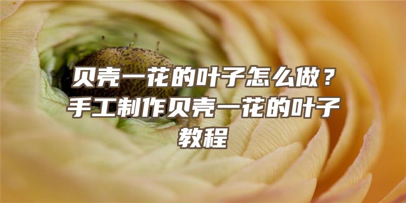 贝壳一花的叶子怎么做？手工制作贝壳一花的叶子教程