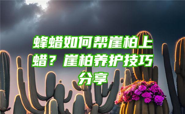 蜂蜡如何帮崖柏上蜡？崖柏养护技巧分享