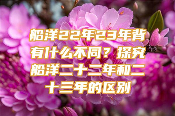 船洋22年23年背有什么不同？探究船洋二十二年和二十三年的区别