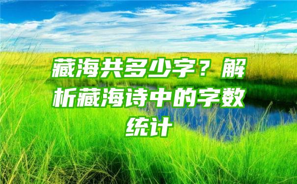 藏海共多少字？解析藏海诗中的字数统计