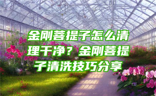 金刚菩提子怎么清理干净？金刚菩提子清洗技巧分享