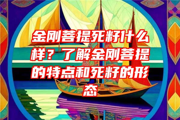 金刚菩提死籽什么样？了解金刚菩提的特点和死籽的形态