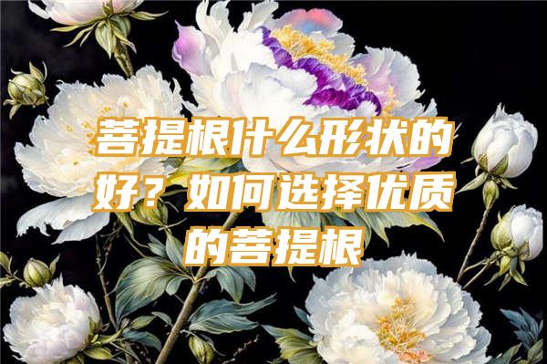 菩提根什么形状的好？如何选择优质的菩提根